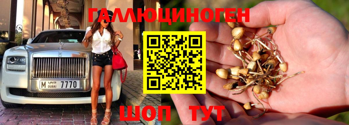 Спасск-Дальний  даркнет сайт  Вход с VPN  Псилоцибиновые грибы прущие грибы 